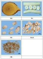 통초 등을 식품용으로 판매한 업자 적발
