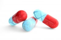 건기식 원료·성분 규정 총리령으로 정하는 법안 추진