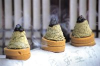 과민성 대장증후군 뜸 치료 연구, 국제학술지에 게재