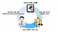 인터넷서 성형수술 쿠폰 판매한 양의사 무더기 적발