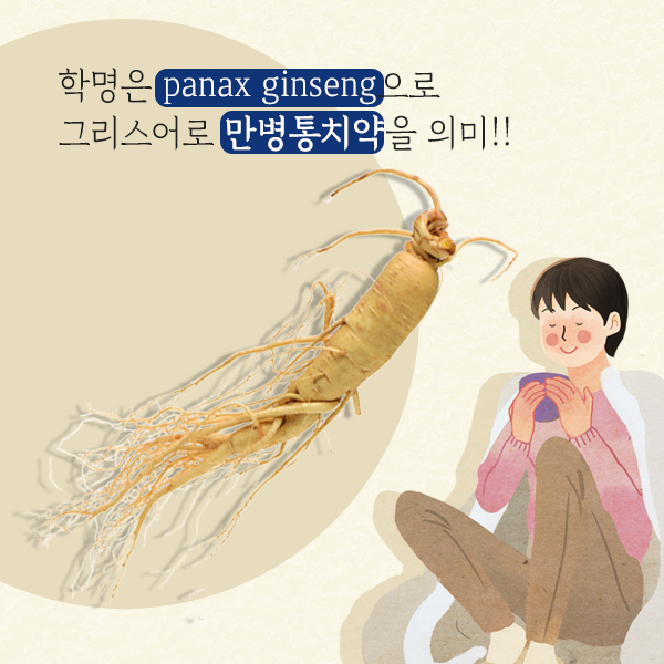 인삼1-3.jpg
