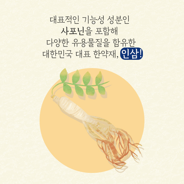 인삼1-2.jpg