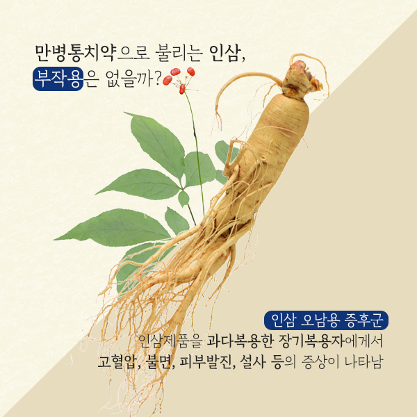 인삼1-9.jpg