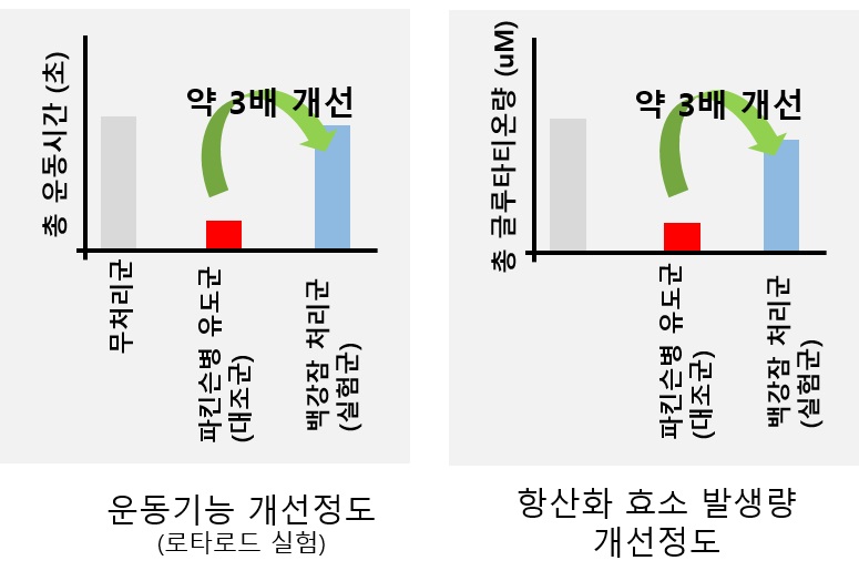 백강잠2(백강잠 추출물의 운동기능 및 항산화 효소 활성 개선 정도).jpg