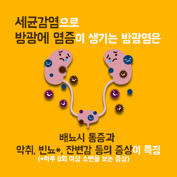 방광염1-2.jpg