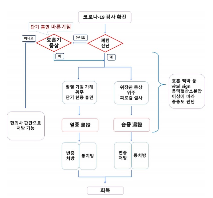 한의진료 권고안 베타.jpg