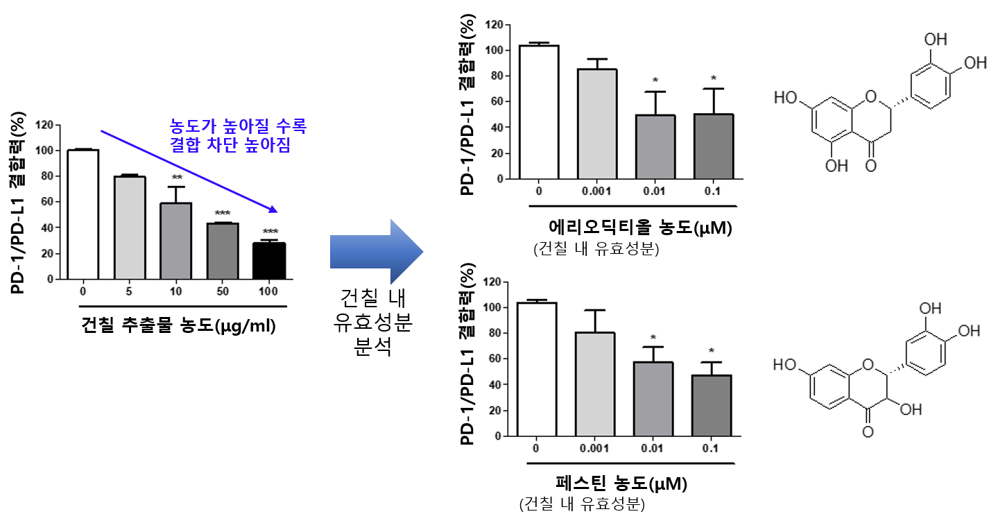 항암3(건칠 성분의 면역관문 단백질(PD-1) 분자결합 저해 효과).png