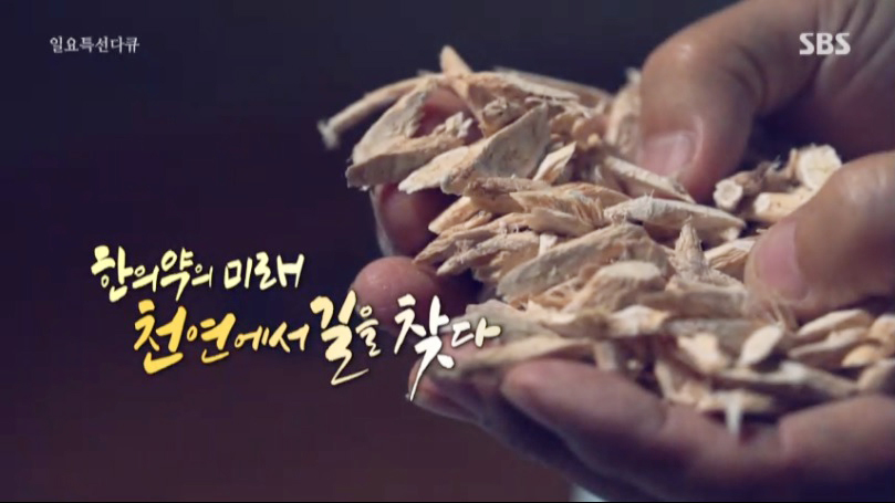 한의약의 미래 천연에서 길을 찾다.jpg