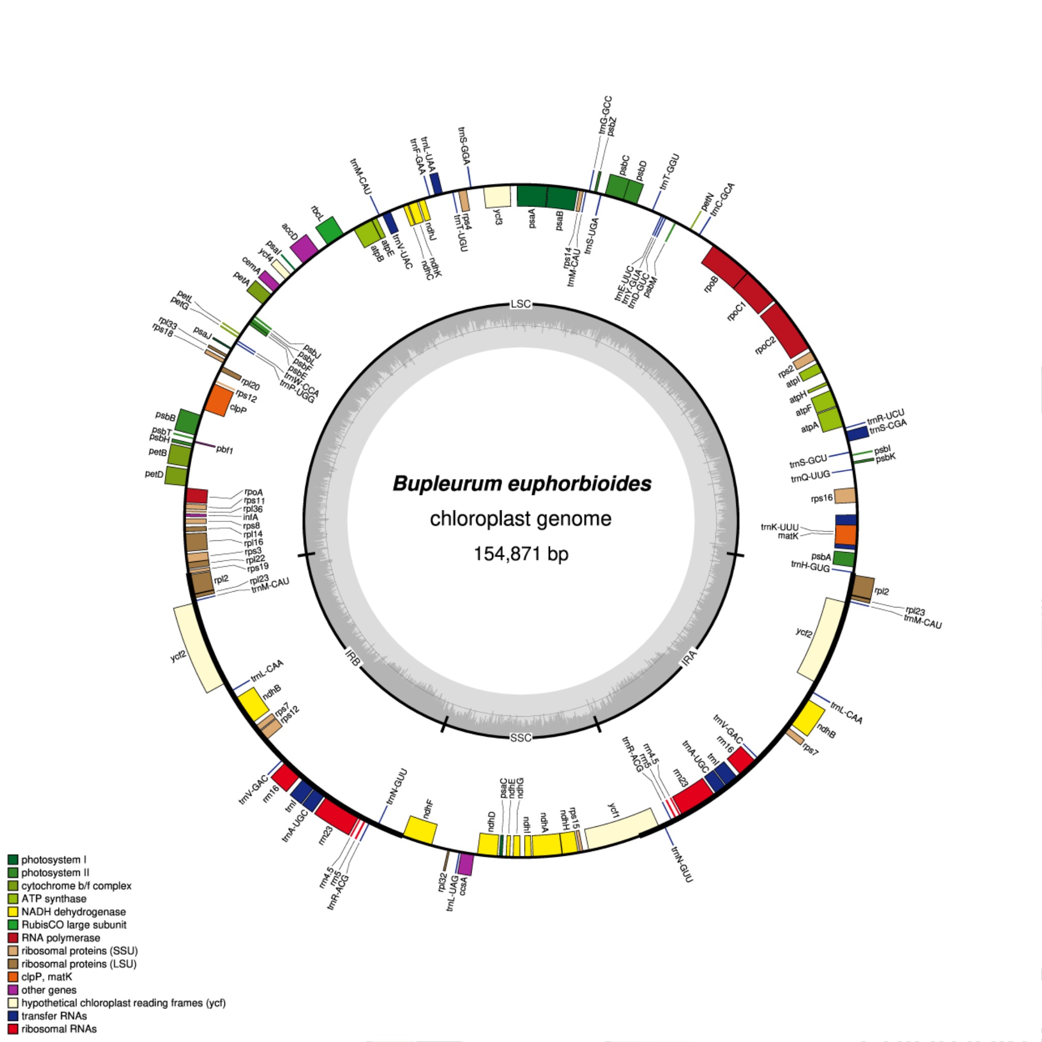 등대시호 해독이미지.jpg
