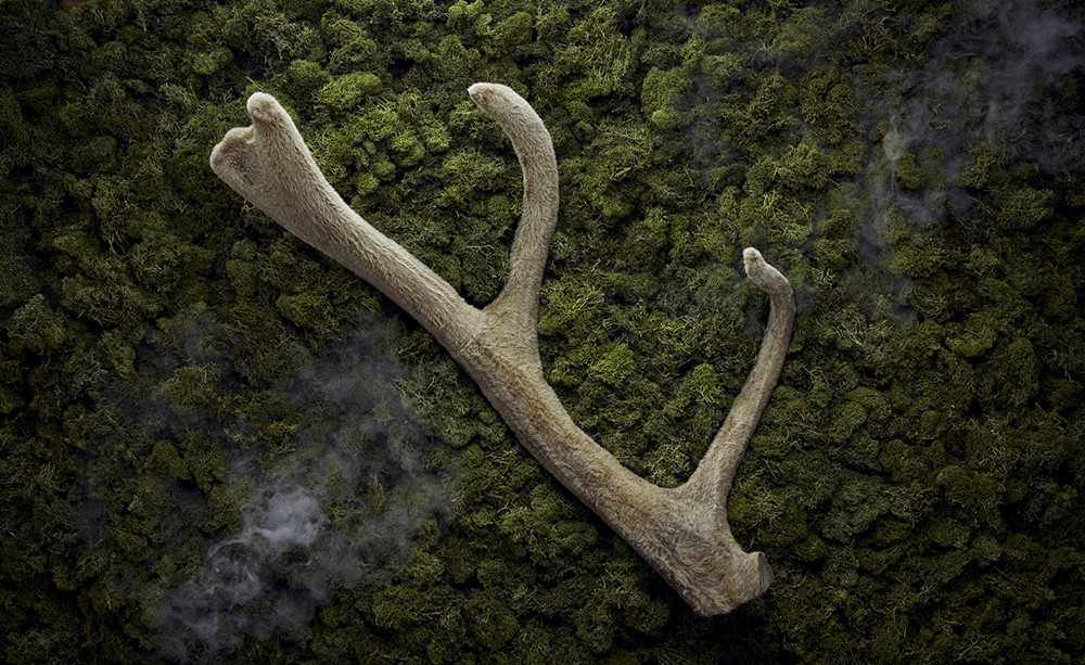 [사진설명] 녹용.jpg