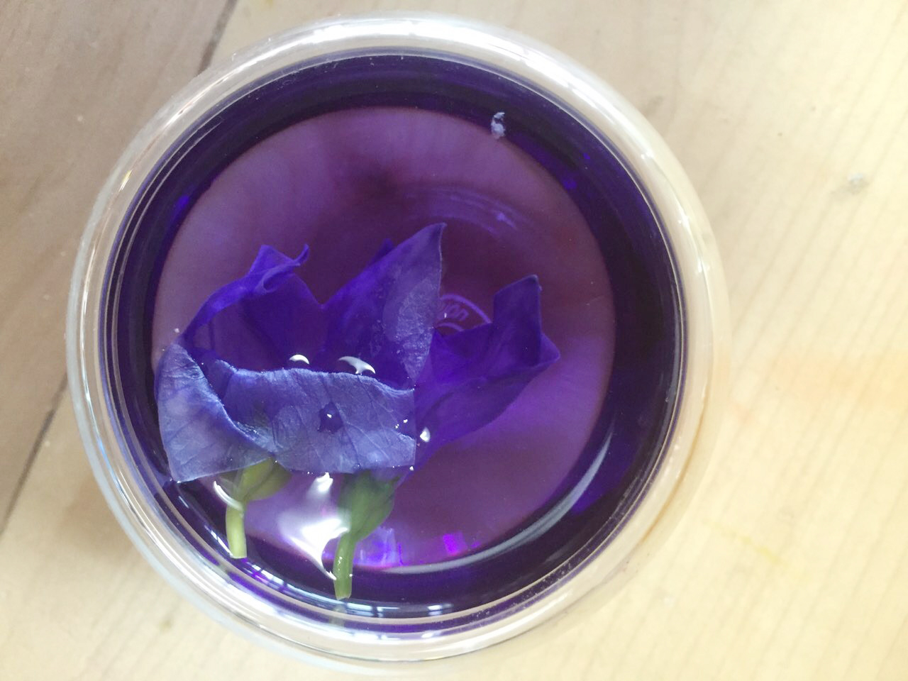 도라지 (4).jpg