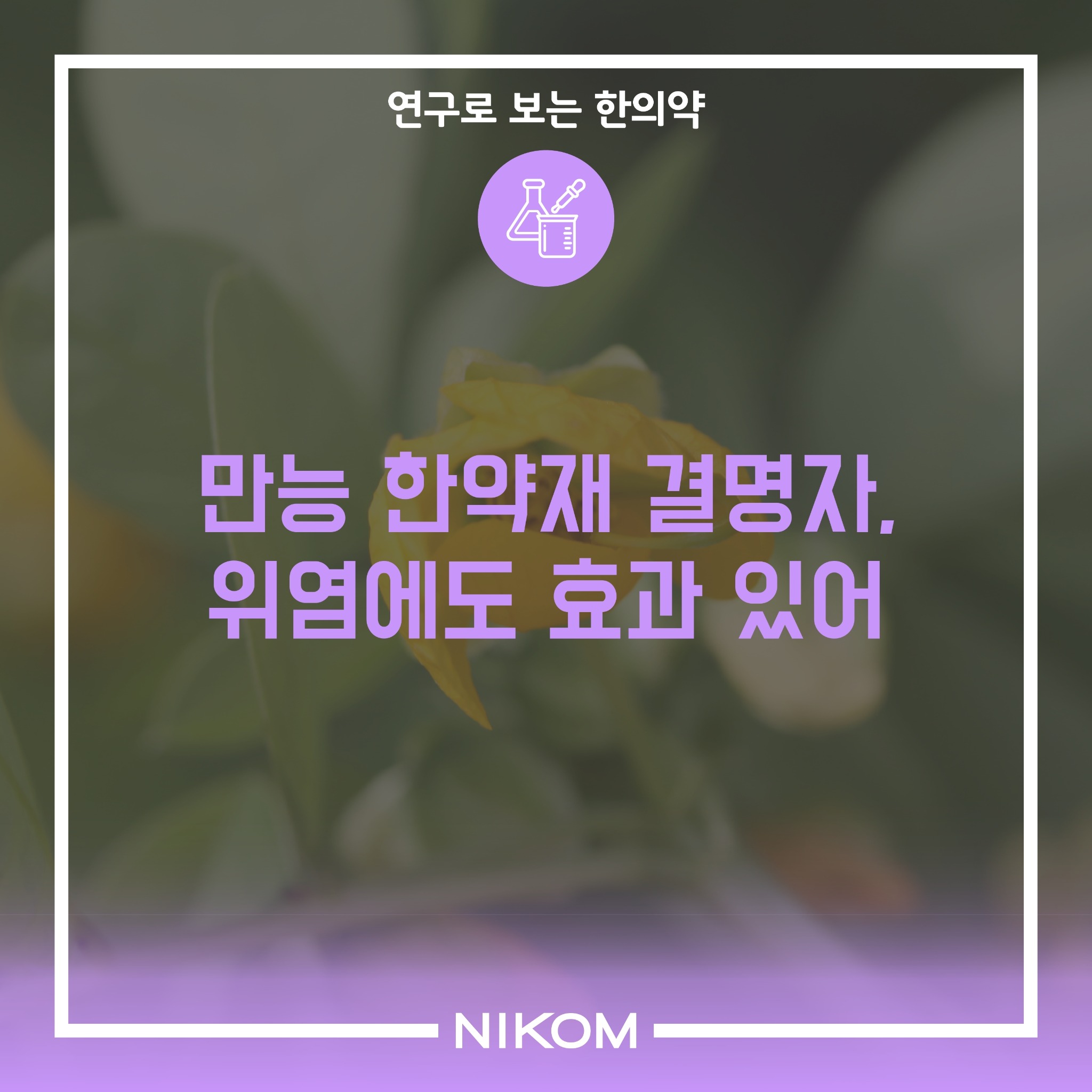 01 (결명자)연구로보는한의약-썸네일.pdf_page_1.jpg