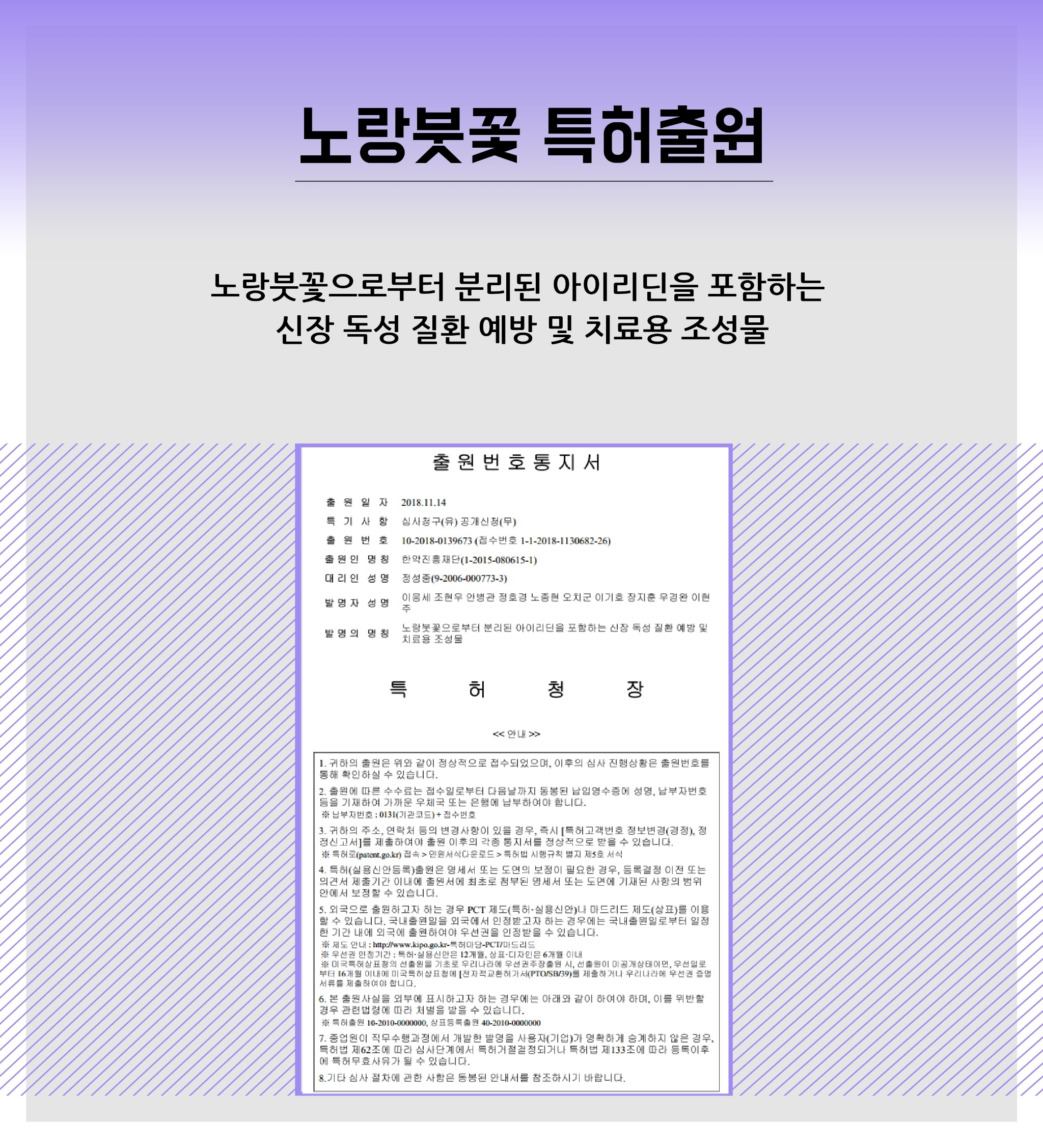 04 (노랑붓꽃)연구로보는한의약-블로그장표.pdf_page_1.jpg