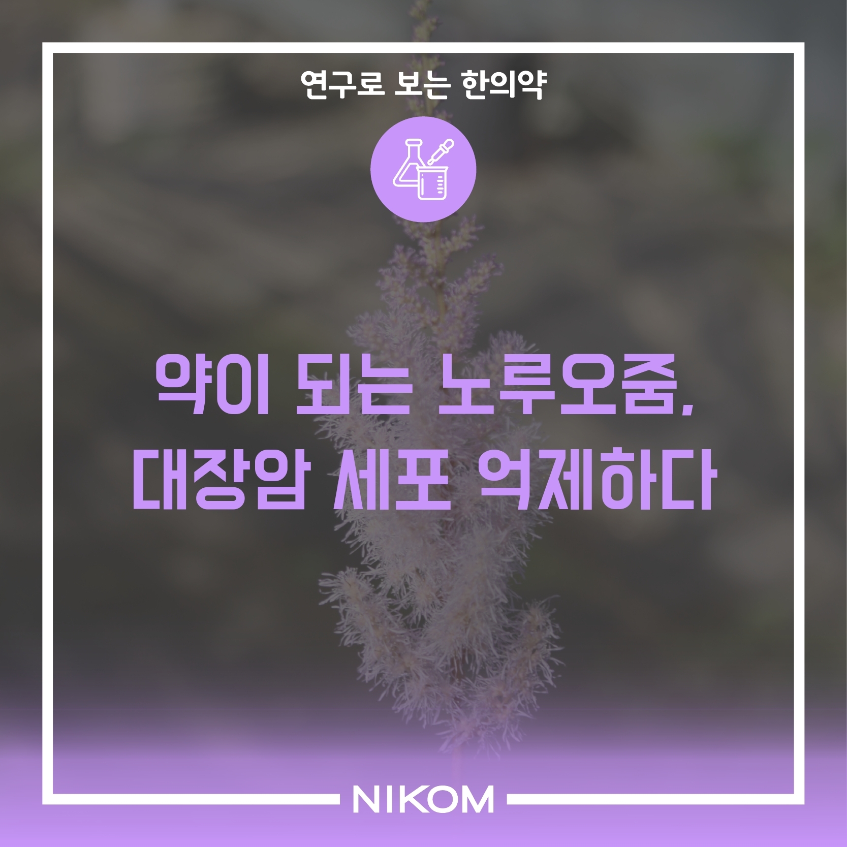 01 (노루오줌)연구로보는한의약-썸네일.pdf_page_1.jpg