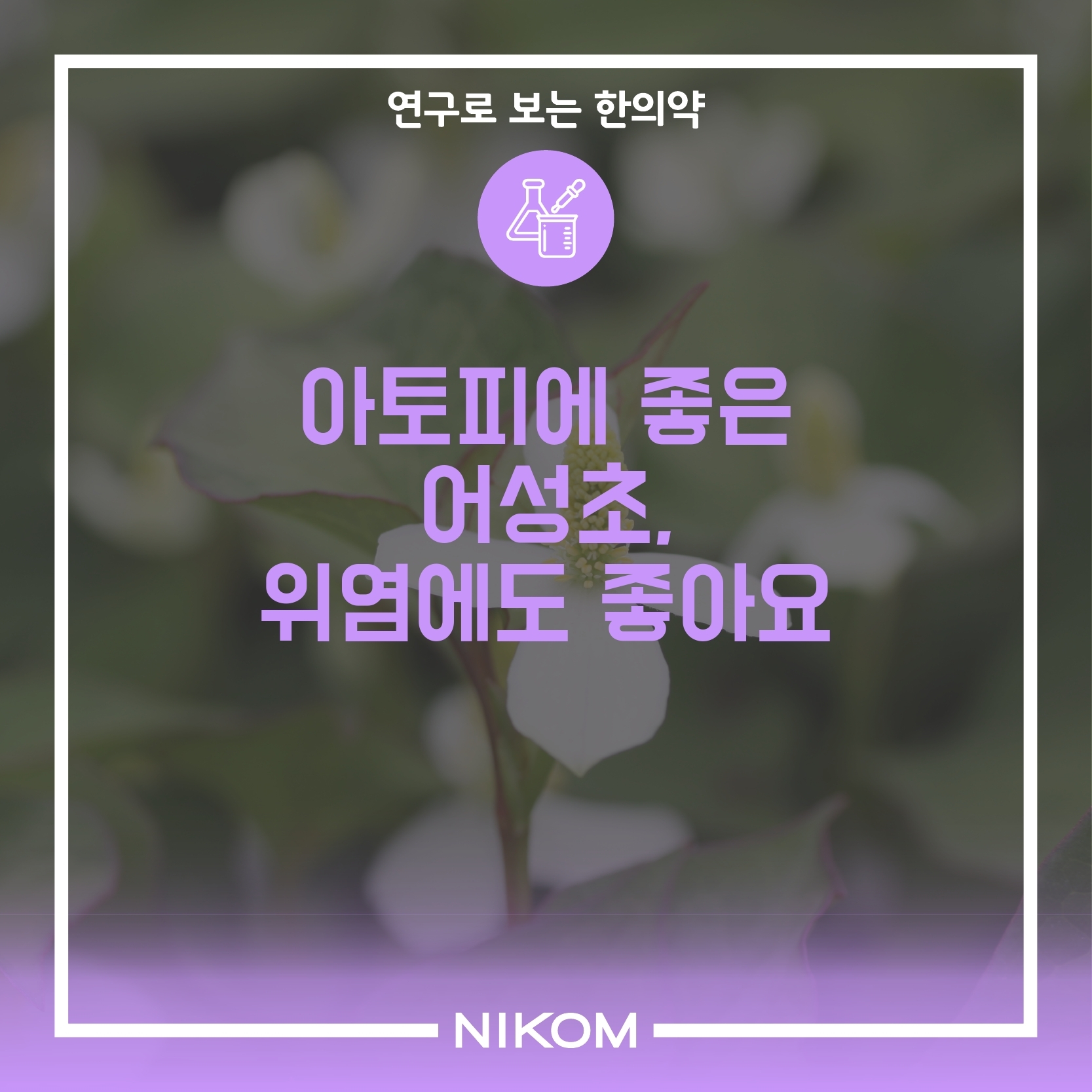 1 (어성초)연구로보는한의약-블로그장표.pdf_page_1.jpg