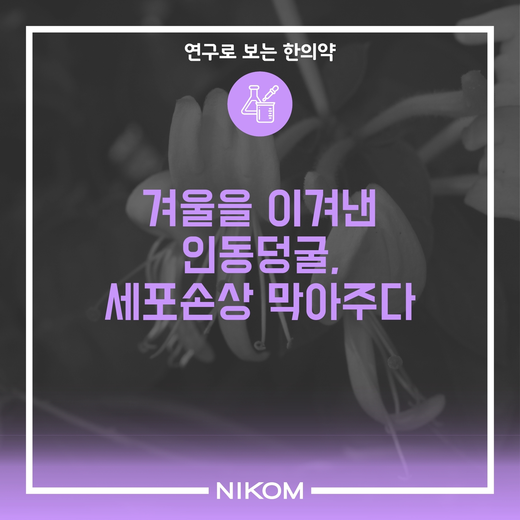 1 (인동)연구로보는한의약-썸네일.pdf_page_1.jpg