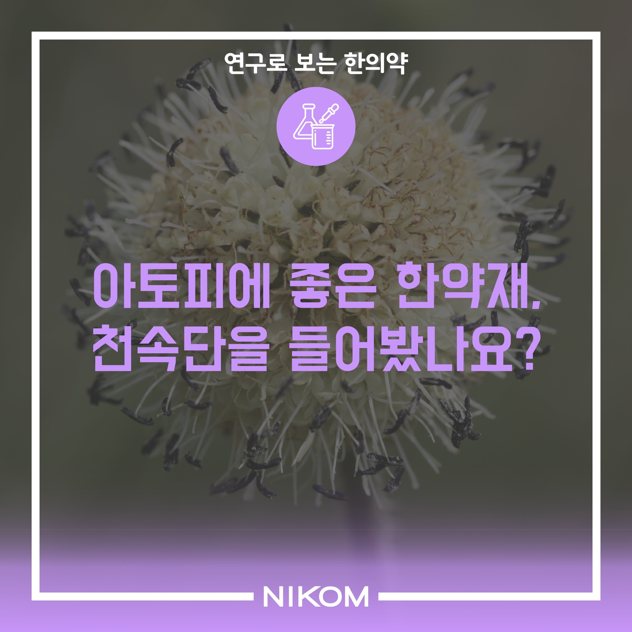 01 (천속단)연구로보는한의약-썸네일.pdf_page_1.jpg