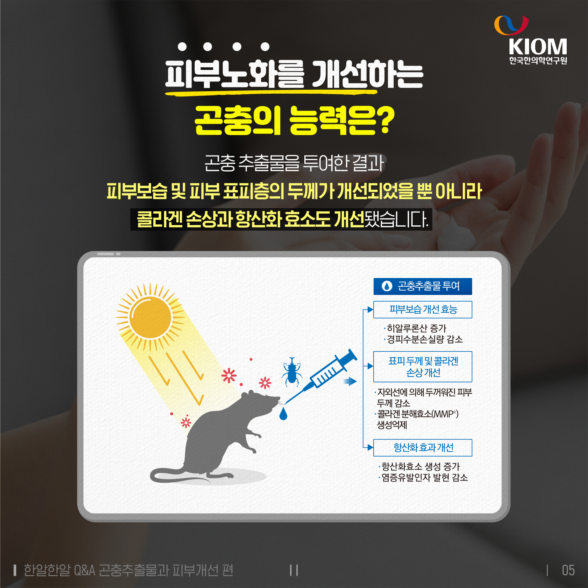 한알한알-곤충추출물과 피부노화개선-05.jpg