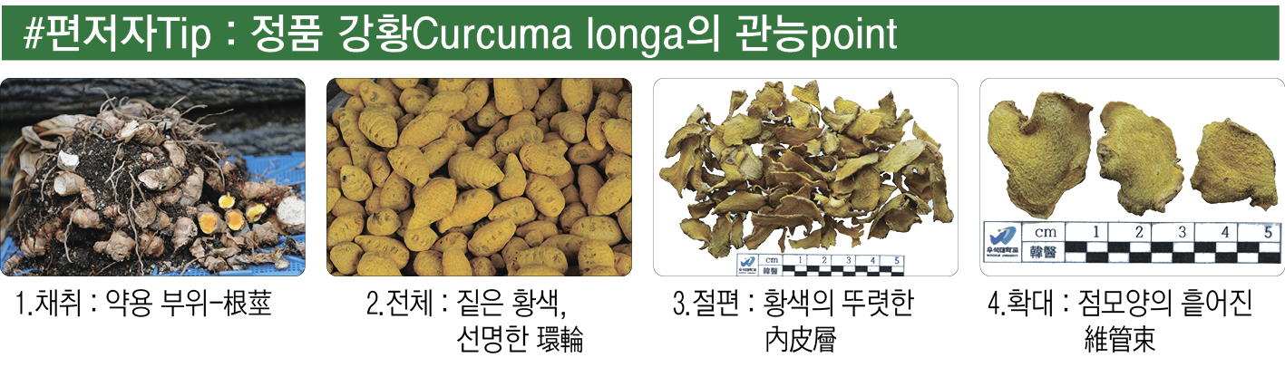 약재 사진 .jpg