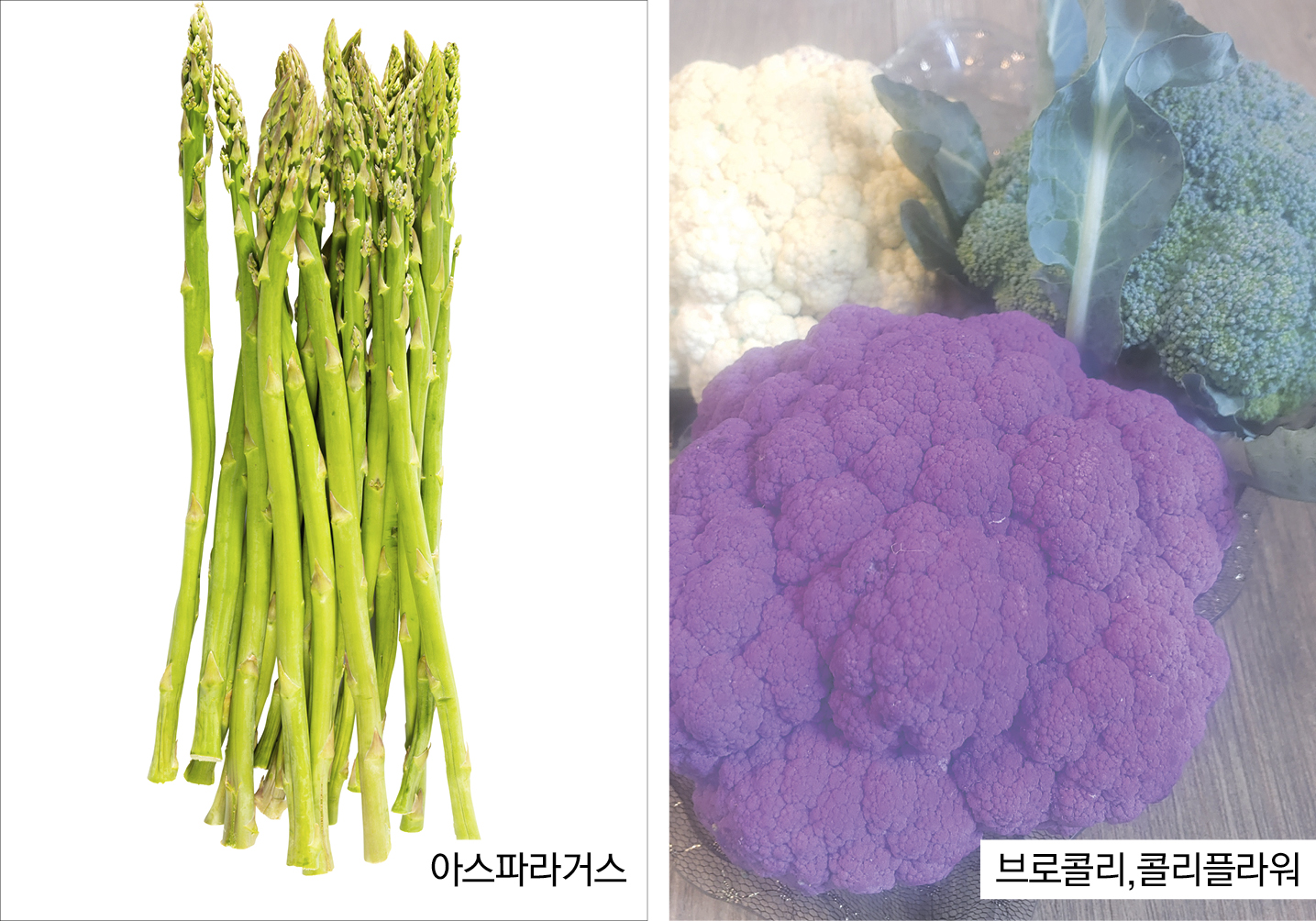 2365-35 권해진.jpg