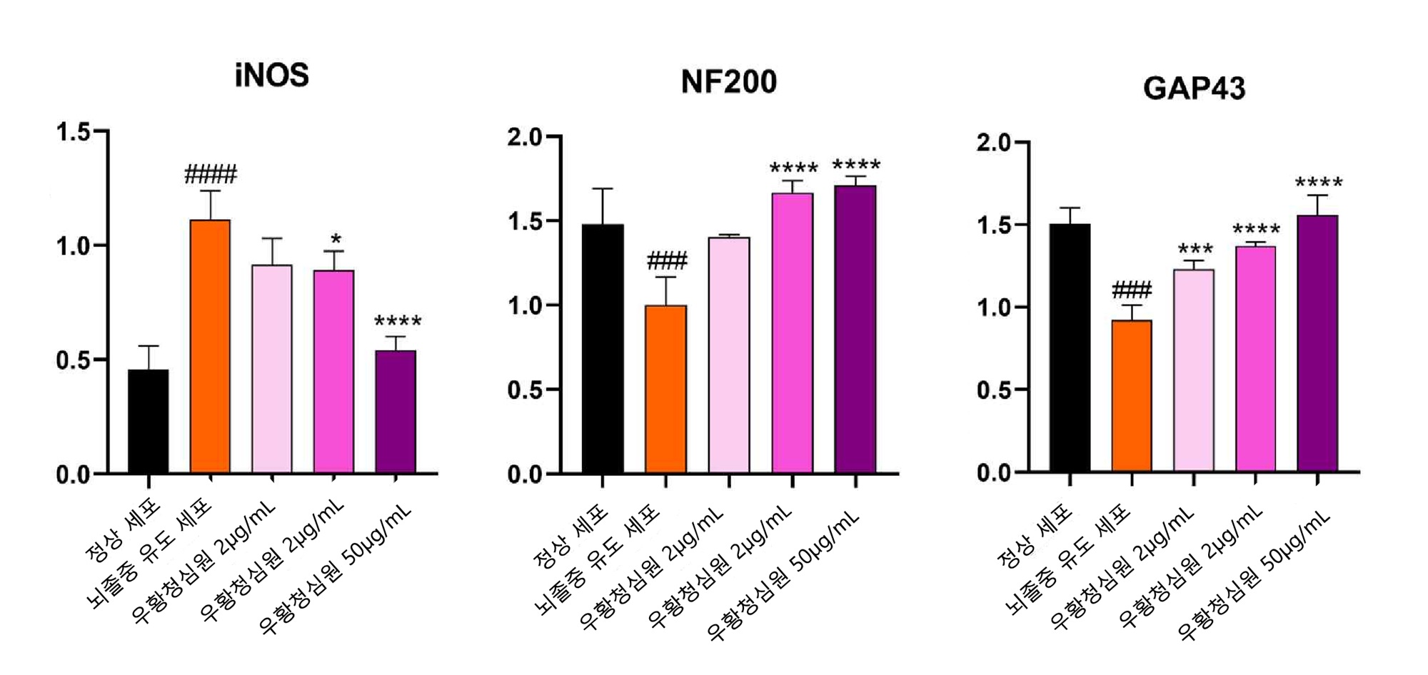 [사진설명] 우황청심원은 iNOS의 발현량을 낮춰 신경세포의 산화스트레스를 억제하고 NF200, GAP-43 등 신경재생인자의 활성을 촉진해 뇌졸중 예방에 기여하는 것으로 분석됐다.jpg