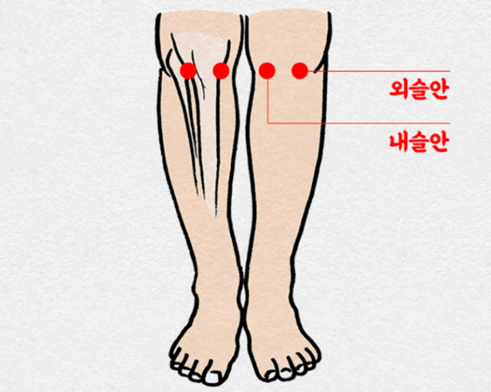 [사진설명] 무릎 주변 근육과 관절 강화에 효과적인 ‘슬안혈’ 지압.png