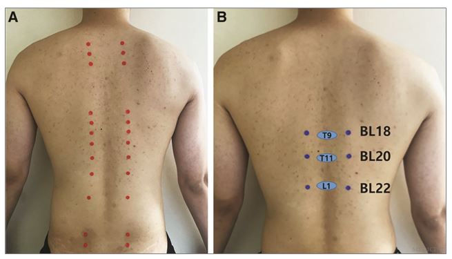 대한침도의학회 3.JPG