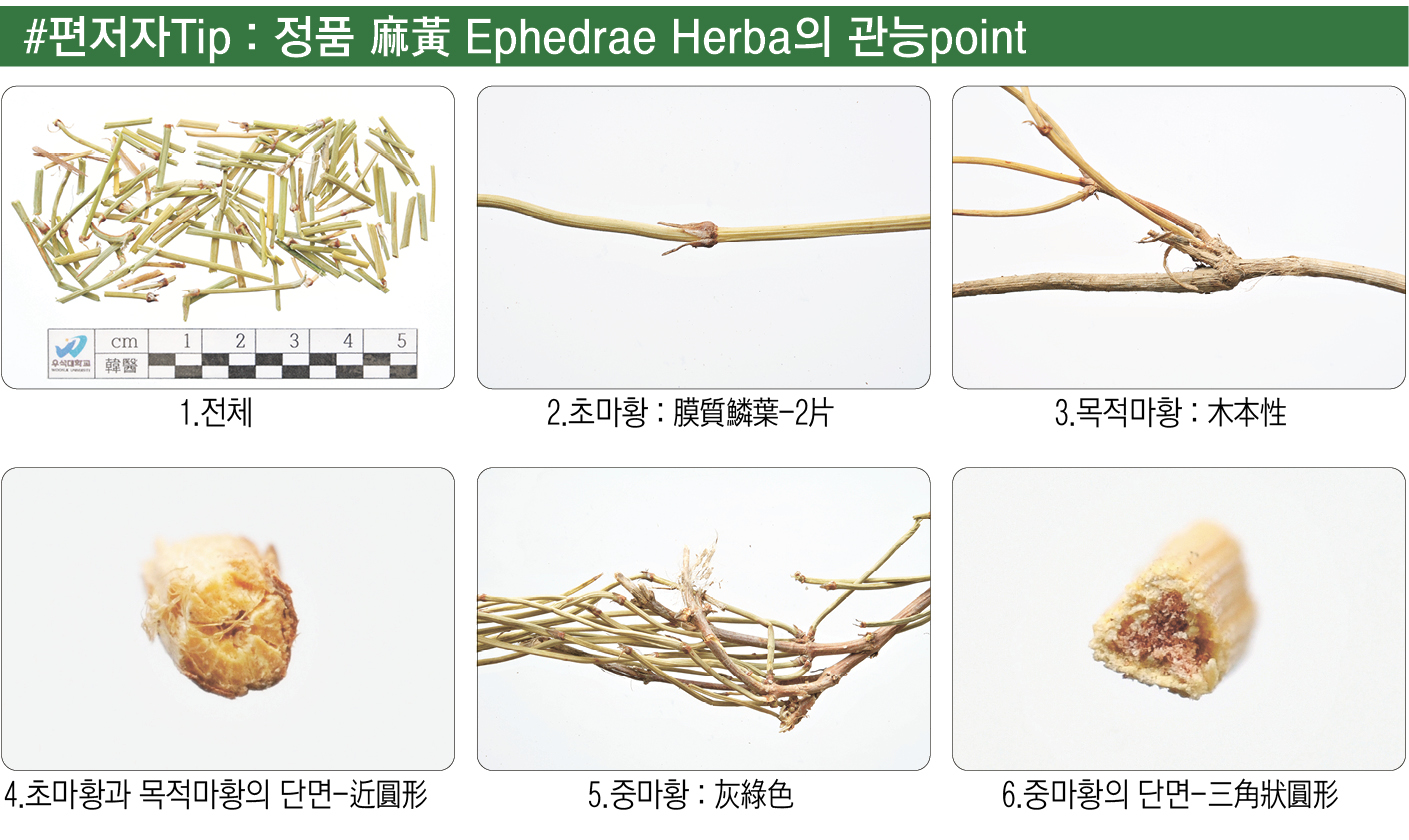 2393-36 주영승-1.jpg