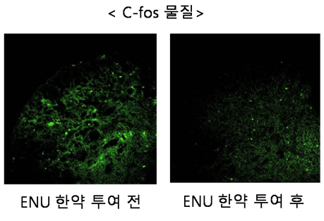 스크린샷 2023-05-17 100307.png