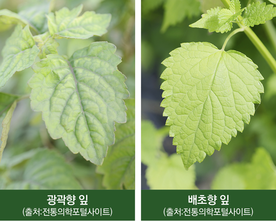 2408-35 권해진-1.jpg