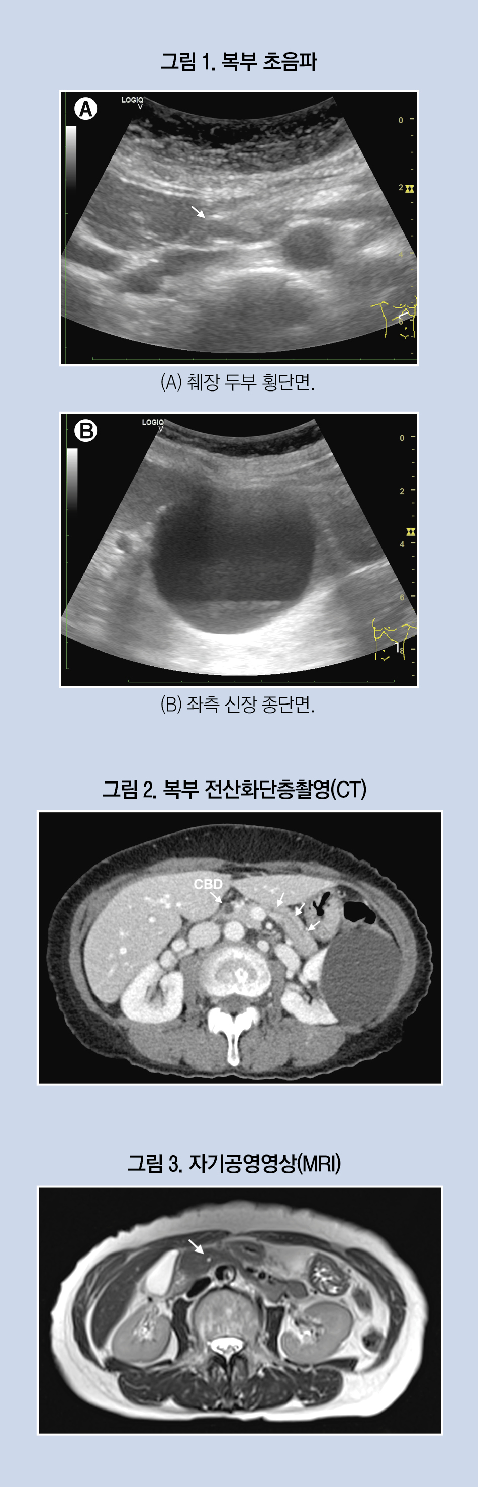 2416-36 이제원.jpg