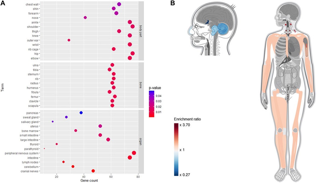 한의학연 (2).jpg