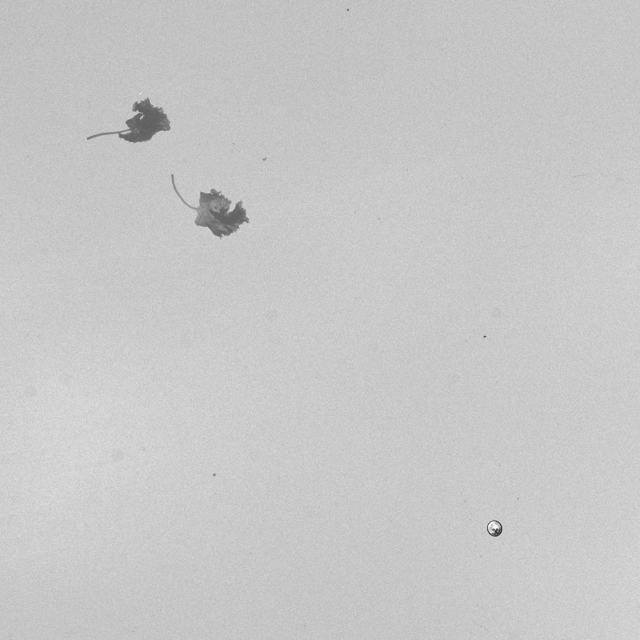 무제021(다음 작품 세계를 미리 보여드렸던).jpg