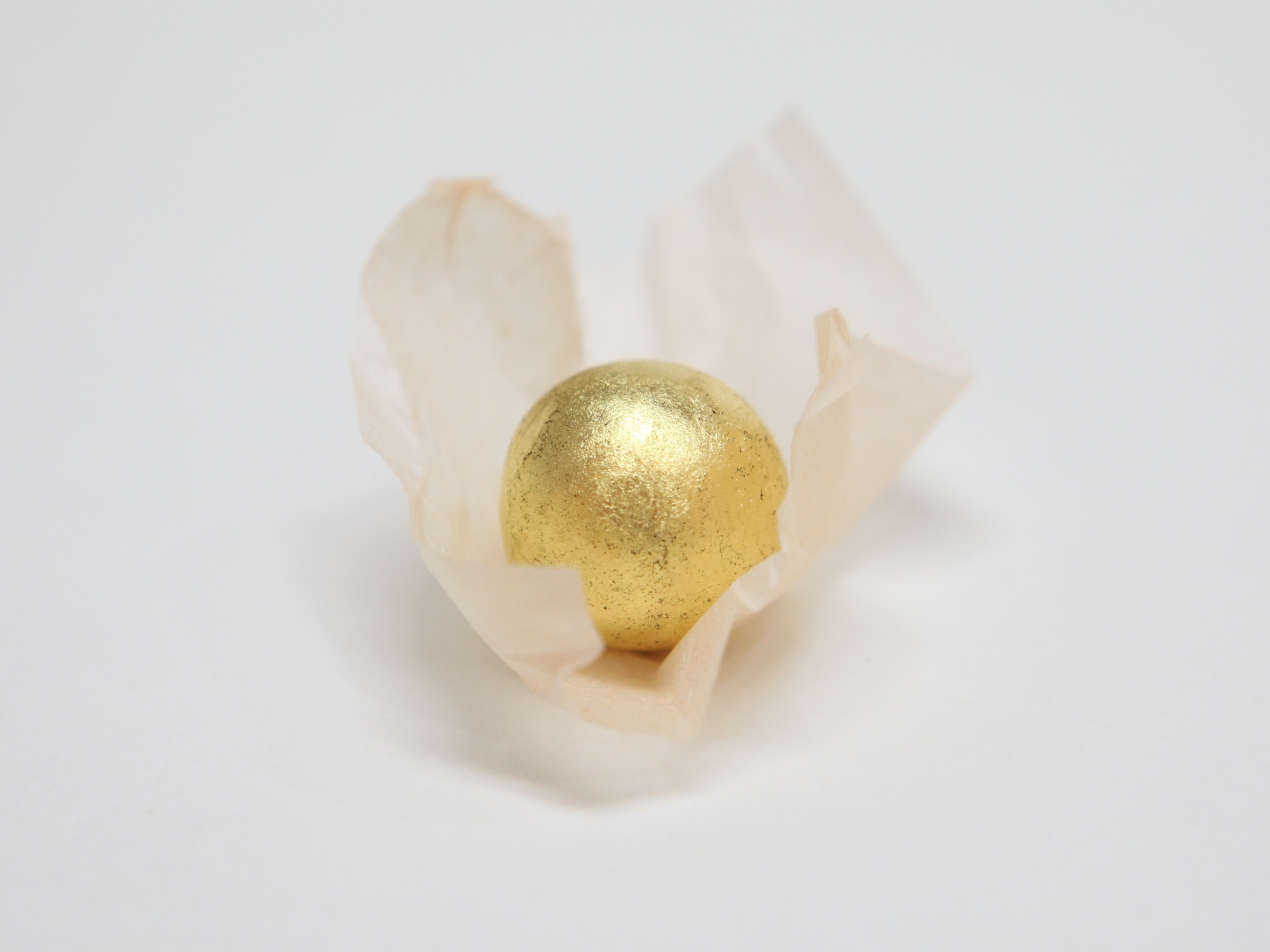 [사진설명] 황제의 보약 ‘공진단’.JPG