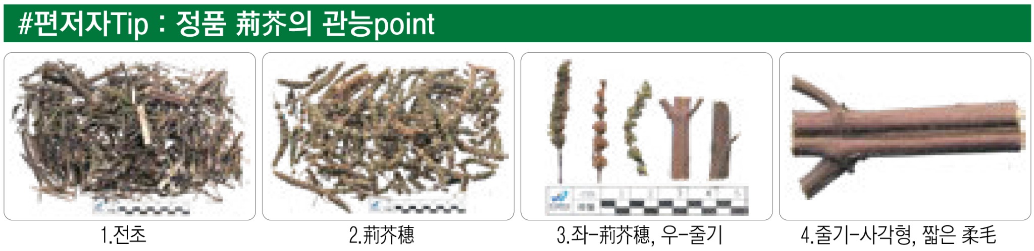 2444-36 주영승_02.jpg