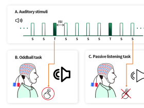 한의학연, 경도인지장애 조기 진단에 한 발 더 다가서