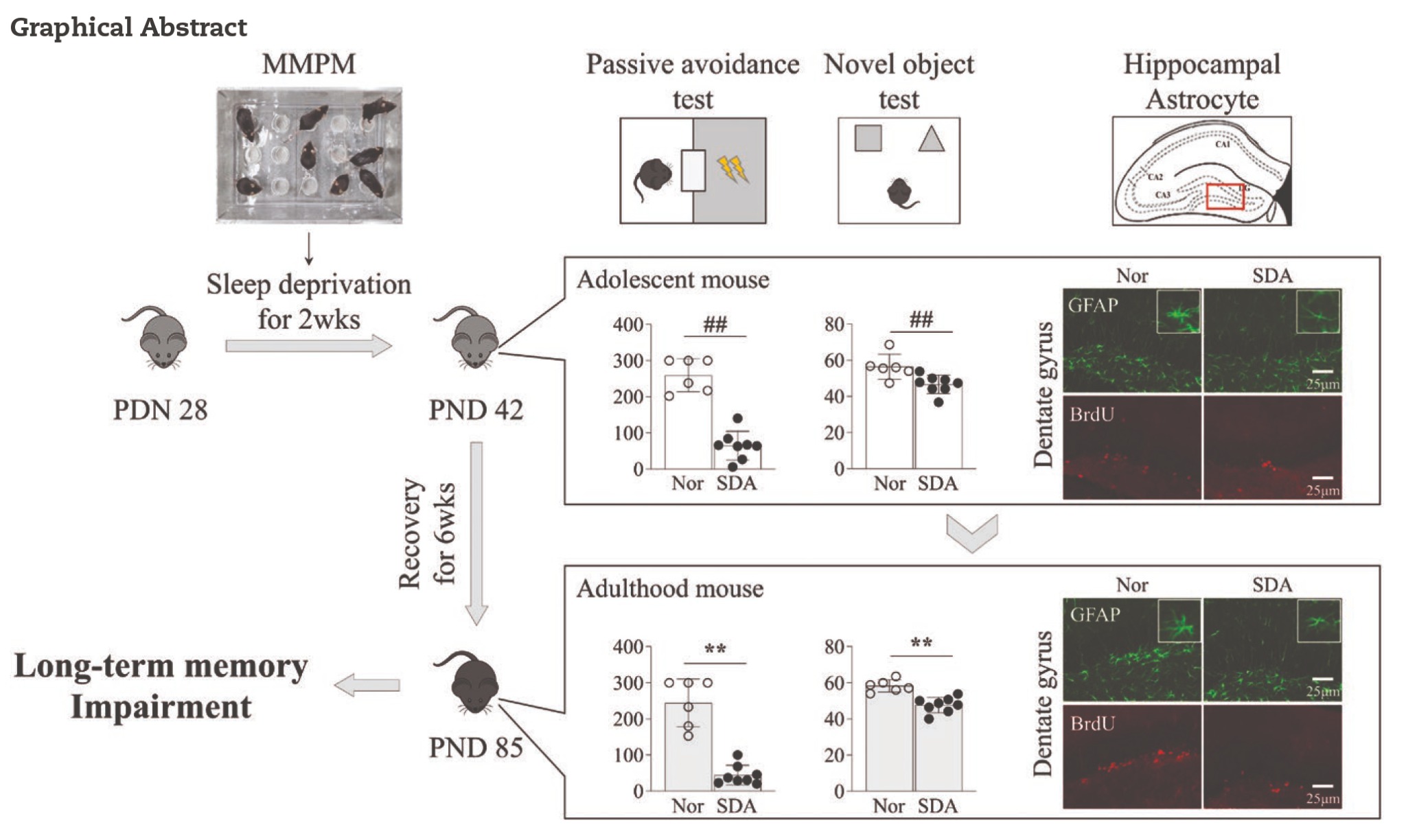 대전대 수면3.jpg