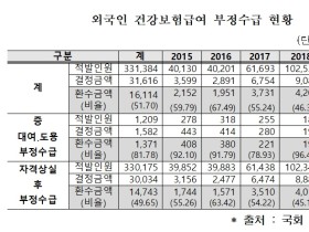 외국인 건강보험 부정수급액 316억원 달해