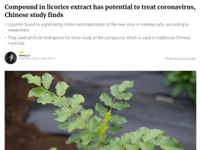 감초서 추출한 ‘리퀴리틴’, 코로나19 바이러스 복제 억제