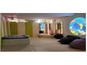 11일부터 최중증 발달장애인 통합돌봄서비스 개시