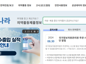 추석 명절 의약품·의약외품 불법 표시·광고 집중점검