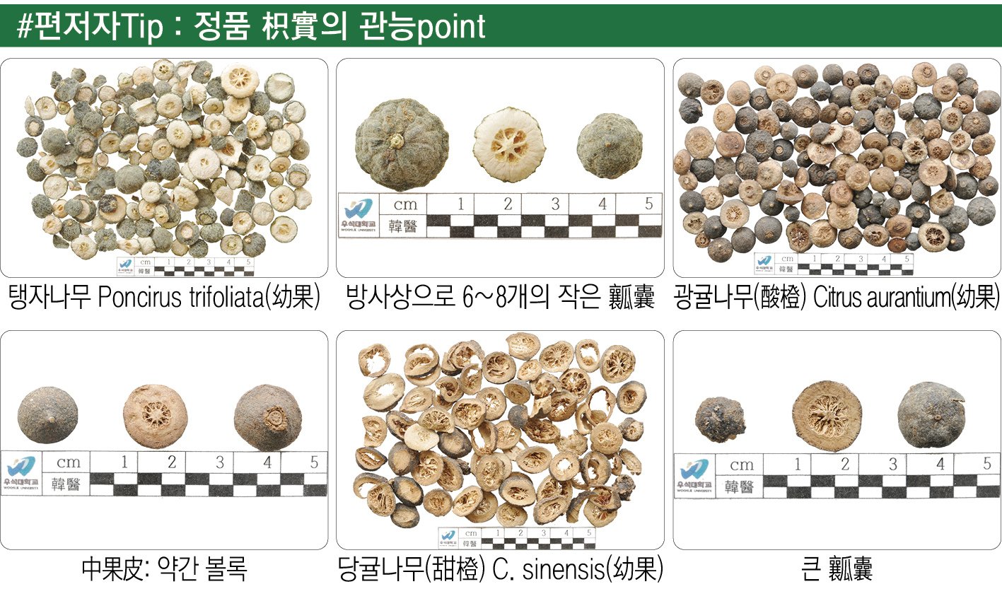 2479-36 주영승2.jpg