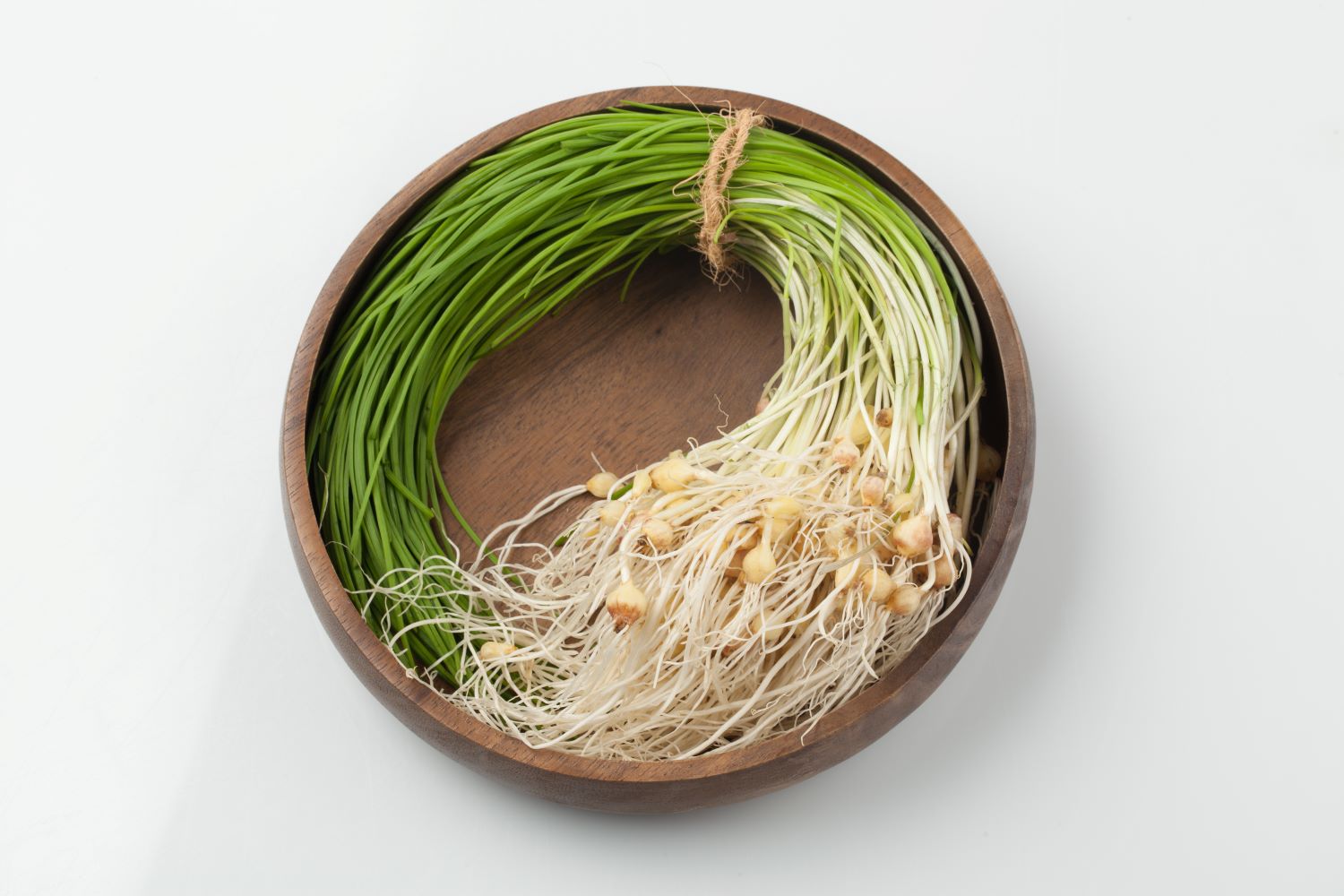 [사진설명] 달래 (출처 - 어도비 스톡).jpg