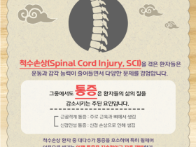 척수손상 환자의 한의학적 통증 관리법은?