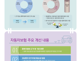 자동차보험 경상환자, 장기 치료시 필요성 확인절차 마련