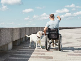 “장애인 보조견, 어디든 함께 갈 수 있어요”