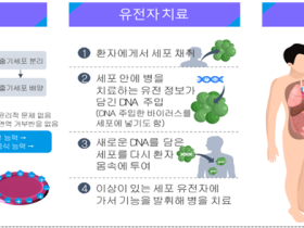 보건복지부, 첨단재생의료실시기관 신규 지정 공모