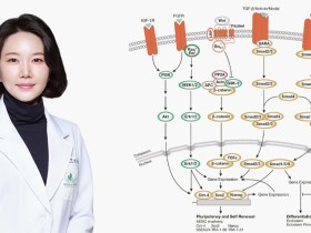 한방 줄기세포 활성화 치료와 한의학의 쓸모