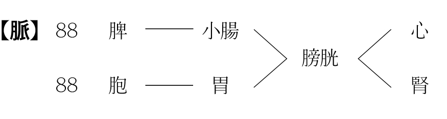 2497-24 형상의학회.jpg