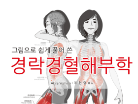 [신간] 그림으로 쉽게 풀어 쓴 경락경혈해부학